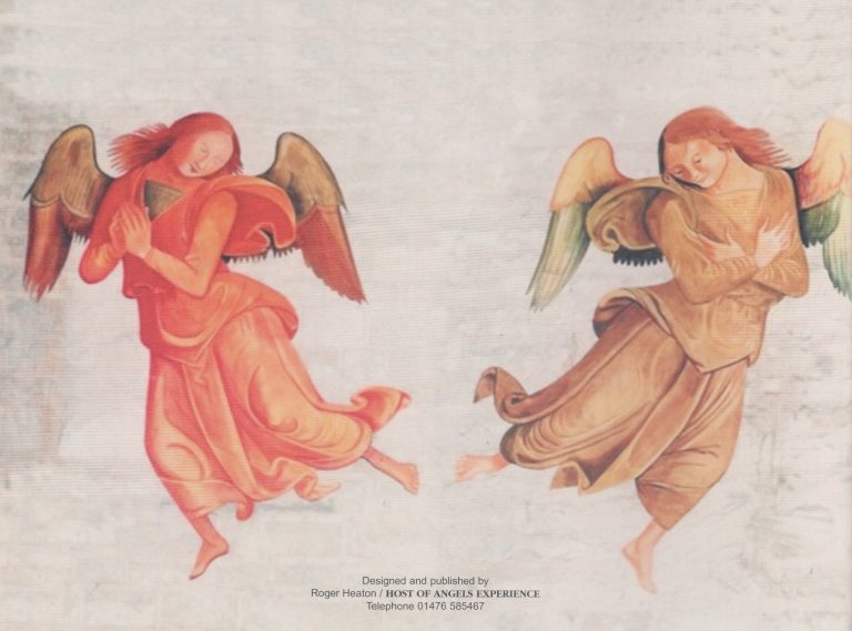 angels back cover