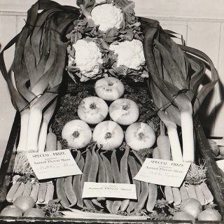 robertflowershow2
